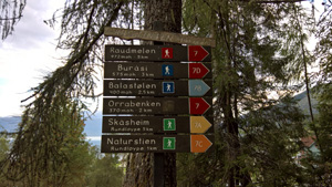 Network of hiking trailsr