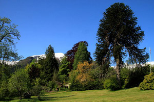 The Lunde arboretum
