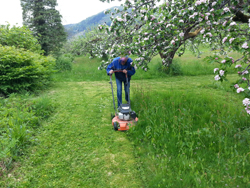 Nærtenestene: Hjelp med plenklipping, snørydding, salg av ved og rydding i hagen.