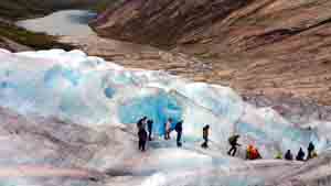 Guided glacier hikes